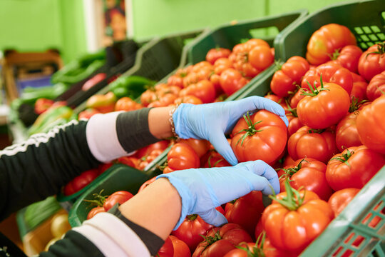 Grocery worker wearing blue latex gloves and putting fresh tomatoes in a box