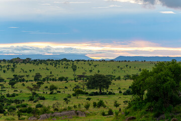 Obraz premium Beautiful and dramatic african landscape, sunset in Serengeti