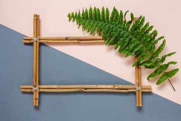 Bamboo frame and green fern leave on neutral tones background