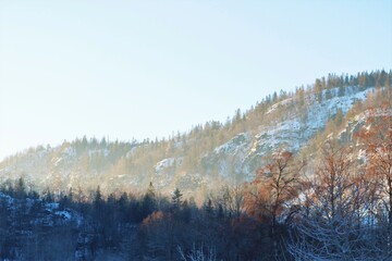 Golden hour in the Norwegian winter