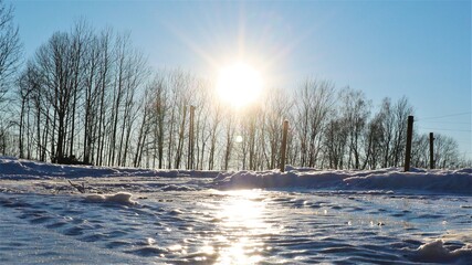 Golden hour in the Norwegian winter
