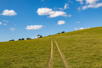 A Path along The South Downs Way in Sussex