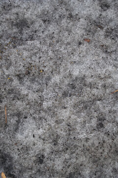 A close-up overhead photograph of debris on dirty, melting snow in Colorado. 