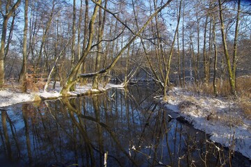 Hellbach im Winter