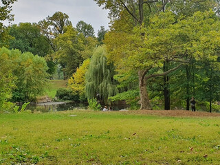 Greenery Scene in Los Angeles