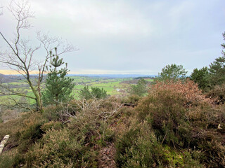 Fototapeta na wymiar A view of Bickerton Hills in Cheshire