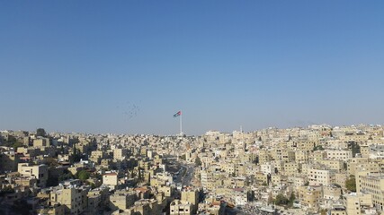 Amman mit Vogelschwarm im Hintergrund