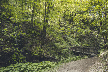 Hiking trail in German forest. Scenic footpath with wooden bridge in Rothaar Mountains in Northrhine-Westphalia state