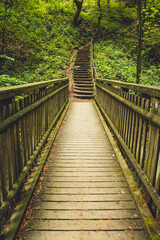 Obraz na płótnie Canvas Hiking trail in German forest. Scenic footpath with wooden bridge in Rothaar Mountains in Northrhine-Westphalia state