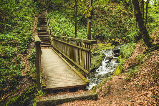 Hiking trail in German forest. Scenic footpath with wooden bridge in Rothaar Mountains in Northrhine-Westphalia state