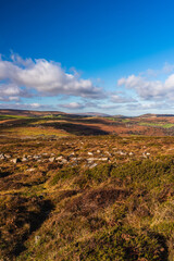 Haytor Rocks, Dartmoor Park, Devon, England, Europe