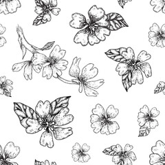Hand drawing of a pear flower. Vintage floral line art seamless pattern.