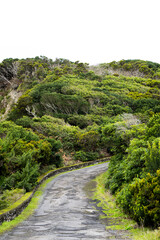 Fototapeta na wymiar Empty road with a green hill background