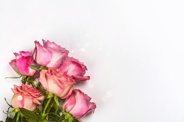 Pink roses background. Greeting card for Valentine's day, March 8th or mother's day. White background. Copy space