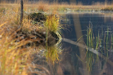 Impressionen eines Bergsees