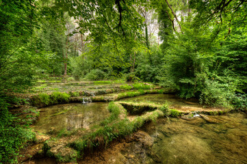 Le Dard à Baume-les-Messieurs, Jura, France