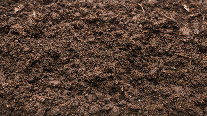 Black land for plant background.