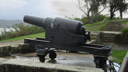 Black Metal Weapon Artillery Gun