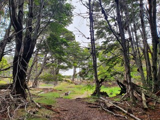 trekking in the end of the world