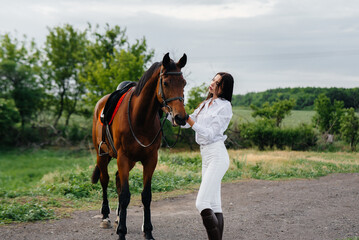 A young pretty girl rider poses near a thoroughbred stallion on a ranch. Horse riding, horse racing