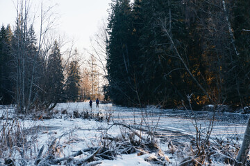A cold Sunday in January on the frozen local lake or river in just outside of Oslo city. Norwegian families are gathering on the ice for skating and having fun.