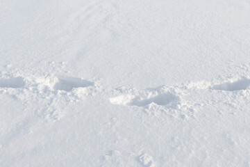 Fototapeta na wymiar Footprints in snow