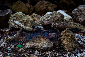 fire pit in the wood