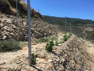 Douro Valley vineyards river and mountain