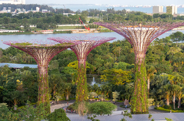 Forêt artificielle des jardins de la Baie à Singapour