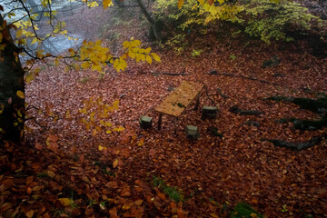 Old wooden table top with leaves falling in forest, autumn background