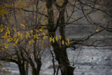 Amazing view with colorful autumn forest with asphalt mountain road at sunset.