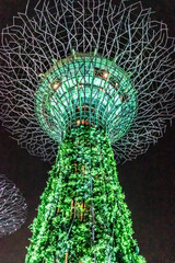 Arbre lumineux artificielle, jardins de la Baie à Singapour