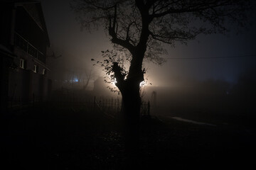 Night street country road with buildings and fences covered in fog lamp . Or Mysterious night in Azerbaijan mountain village