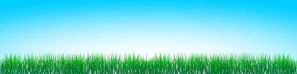 Foto op Plexiglas Grünes Gras, Blauer Himmel Vektor. Illustration für Hintergrund, Ostergrüße, Kalender usw. © languste15