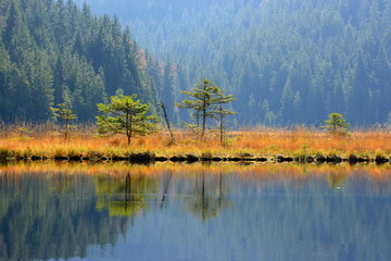 Impressionen eines Bergsees