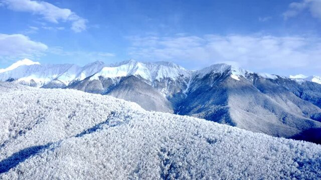 Beautiful footage of aerial Drone  view of  winter forest mountains