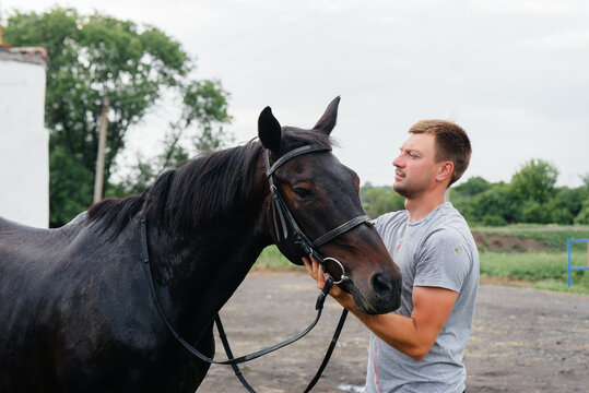 A young man stands and looks at a thoroughbred stallion on the ranch. Animal husbandry and breeding of thoroughbred horses
