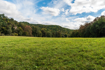 Meadow with forest around in Thayatal National Park in Austria near borders with Czech republic