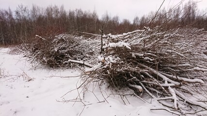 Large heaps of sawn-off branches under the snow. Sawmill in winter.