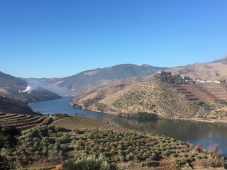 Douro Valley River and Vineyards view