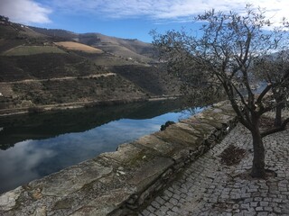 Douro Valley River and Vineyards view