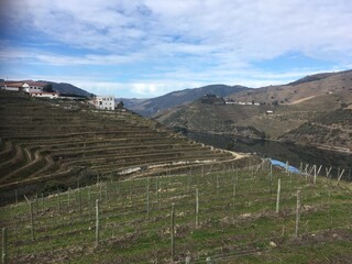 Douro Valley River and Vineyards view