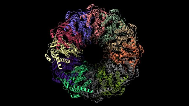 Atomic structure of the Epstein-Barr virus portal, structure I, animated 3D cartoon and Gaussian surface model isolated, black background