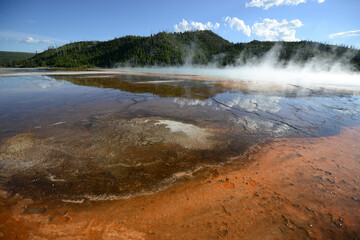 Close-up view of the bacterial mat and rising steam at the Grand Prismatic Spring at Yellowstone National Park