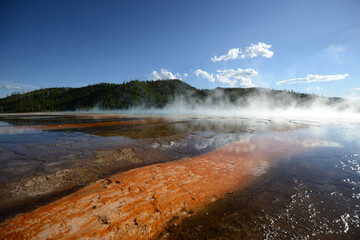 Close-up view of the bacterial mat and rising steam at the Grand Prismatic Spring at Yellowstone National Park