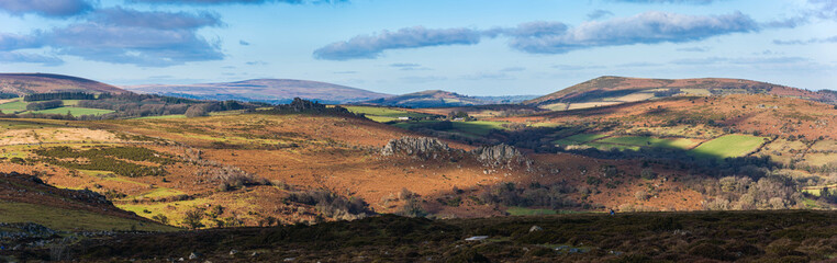 Haytor Rocks, Dartmoor Park, Devon, England, Europe