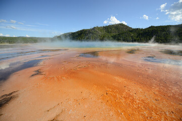 Close-up view of the bacterial mat and rising steam at the Grand Prismatic Spring at Yellowstone National Park