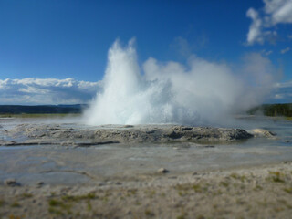 Fototapeta na wymiar A small geyser at Yellowstone National Park erupting on a sunny day 