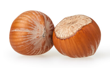 Hazelnuts isolated on white background with clipping path