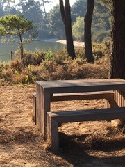 Charming and Relaxing detail view